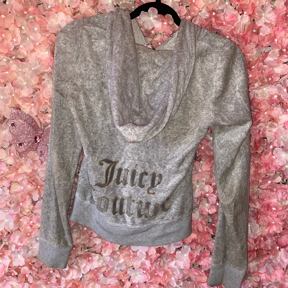 Juicy Couture Gray Graphic Fitted Hoodie